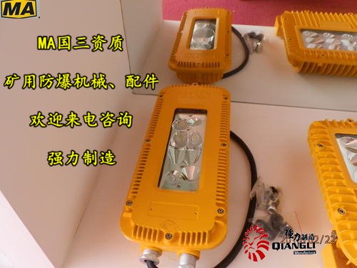 防爆配件,LED隔爆燈